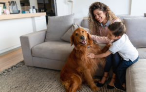 This is an image of a mother and son sitting on a couch, petting a golden retriever. 
