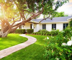 This is an image of a house with good curb appeal, nice flower beds, a big tree, a green lawn and bushes.