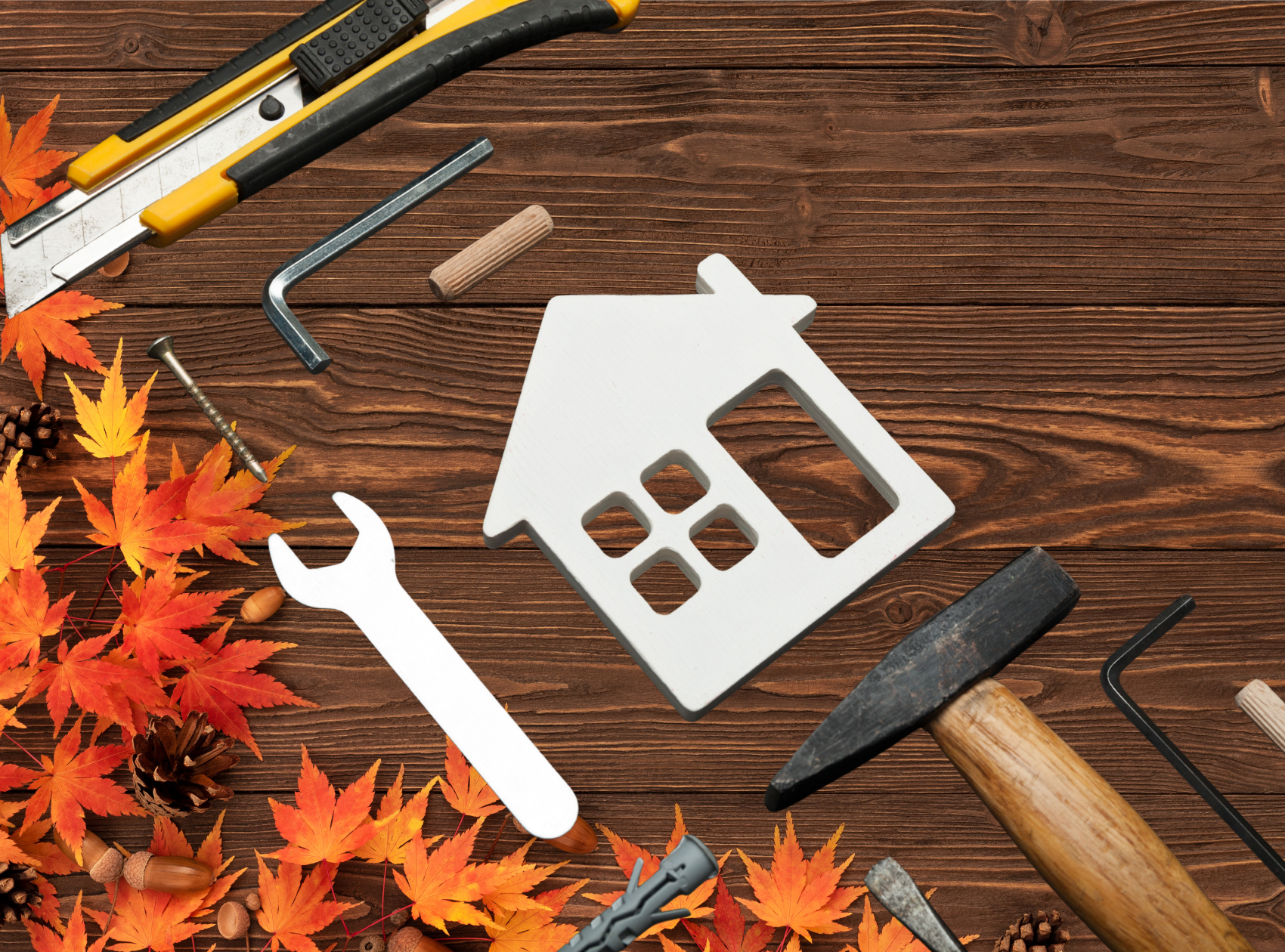 Copy of Featured Image - Website