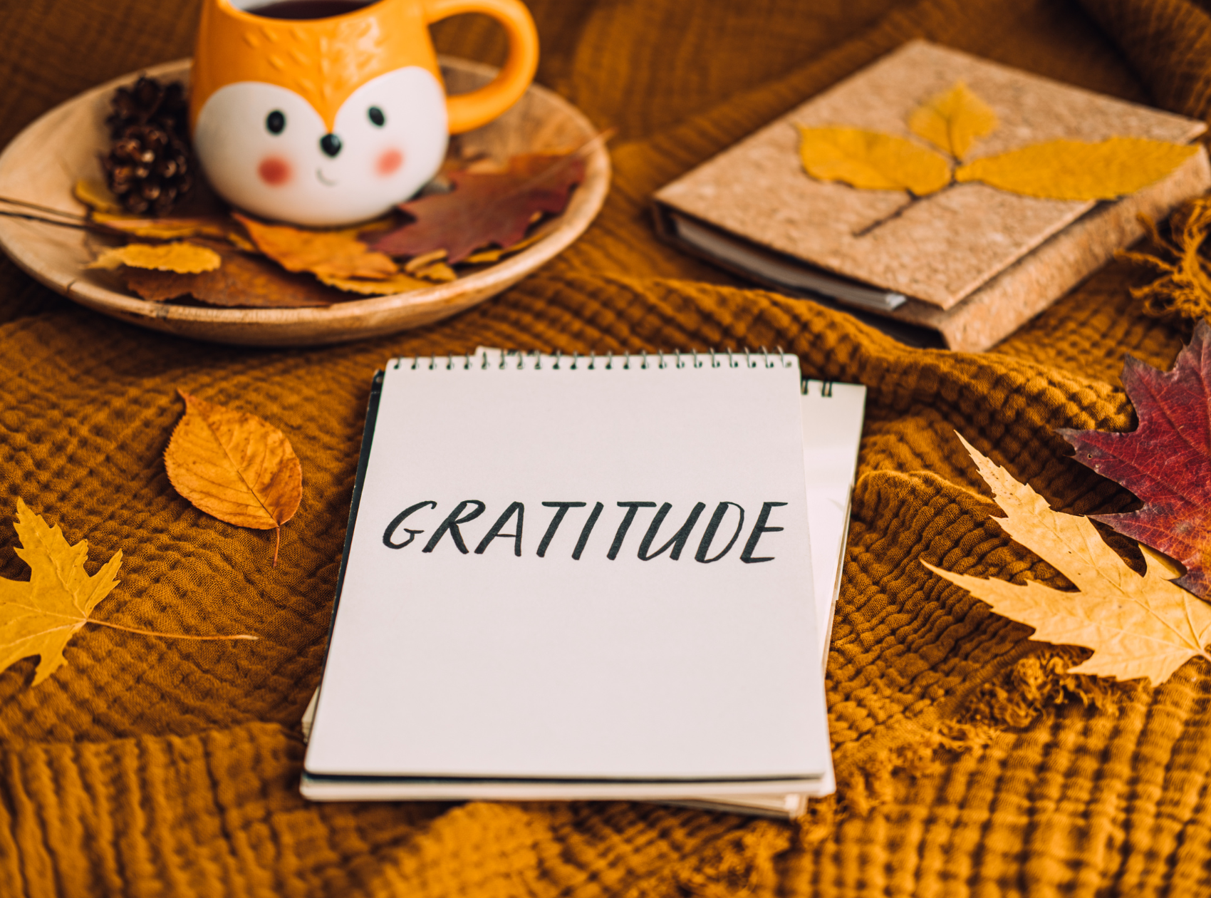 Copy of Featured Image - Website (2)